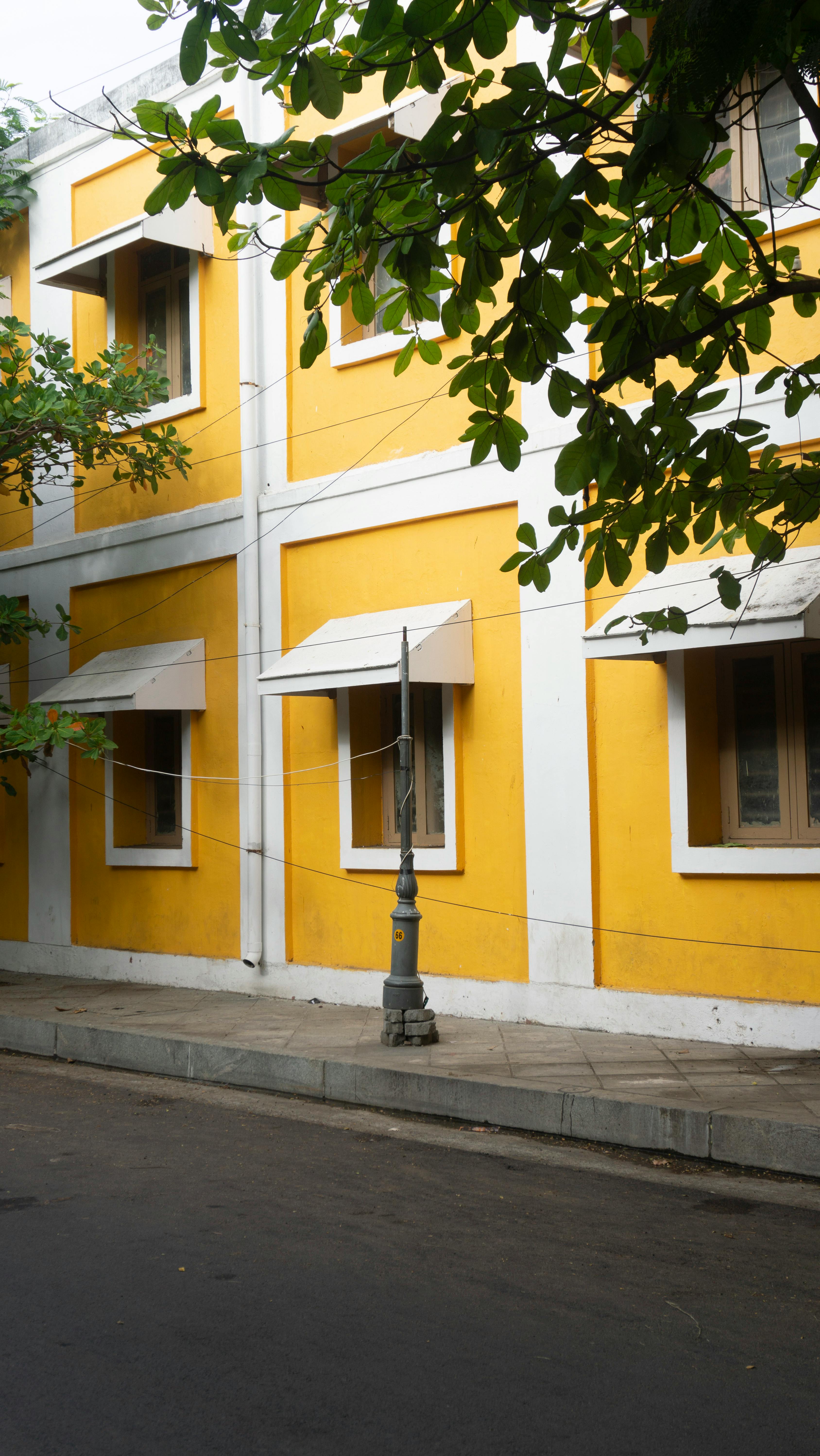 Puducherry, with its French-style streets, colonial architecture, and charming cafés, feels like a slice of France. (Pexels) Puducherry, with its French-style streets, colonial architecture, and charming cafés, feels like a slice of France. (Pexels)