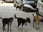 A third centre is under construction near Siddharth Vihar and likely to become functional in next two months, they added. (HT Archive)