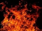 Several people were working for the upcoming Diwali festival when the explosion took place at the Lakshmi Ganapathi Fireworks factory in Rayavaram block, V. Savaram village. (Representative photo) Several people were working for the upcoming Diwali festival when the explosion took place at the Lakshmi Ganapathi Fireworks factory in Rayavaram block, V. Savaram village. (Representative photo)