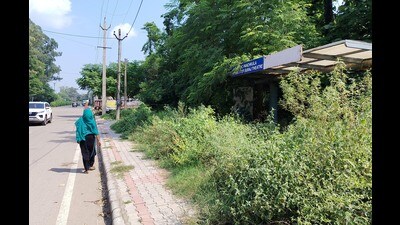 A bus stop near Suraj theatre in Panchkula (Sant Arora/HT) A bus stop near Suraj theatre in Panchkula (Sant Arora/HT)