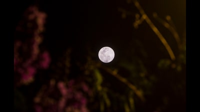In childhood, we opened our eyes to established myths about the moon, and being innocent at heart, we believed them all, whether it was the old woman spinning her wheel or the rabbit sitting cozily in the crescent moon. (HT File) In childhood, we opened our eyes to established myths about the moon, and being innocent at heart, we believed them all, whether it was the old woman spinning her wheel or the rabbit sitting cozily in the crescent moon. (HT File)