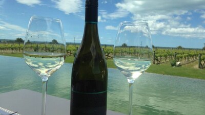Sip, savour, and soak in sprawling vineyards, serene landscapes, and vibrant wine experiences across India’s finest vineyard destinations. (Hindustan Times) Sip, savour, and soak in sprawling vineyards, serene landscapes, and vibrant wine experiences across India’s finest vineyard destinations. (Hindustan Times)