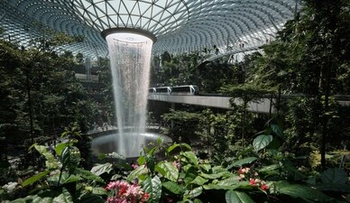 A couple sparked a debate by sleeping at Singapore's Jewel Changi airport (Representational image) (Unsplash) A couple sparked a debate by sleeping at Singapore's Jewel Changi airport (Representational image) (Unsplash)