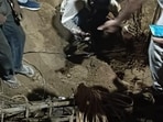 During the rescue operations. (HT) During the rescue operations. (HT)