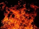 Authorities in Bengaluru are focused on determining how the fire started and why escape was impossible. (Representative photo) Authorities in Bengaluru are focused on determining how the fire started and why escape was impossible. (Representative photo)