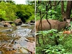 Plan a relaxing long weekend near Mumbai with scenic hills, lakes, waterfalls, and tranquil escapes.(Unsplash)