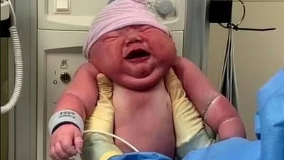 A hospital in Nashville has welcomed a 13-pound baby, named Cassian. (TikTok/ @shlbmrtn) A hospital in Nashville has welcomed a 13-pound baby, named Cassian. (TikTok/ @shlbmrtn)