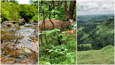 Plan a relaxing long weekend near Mumbai with scenic hills, lakes, waterfalls, and tranquil escapes. (Unsplash) Plan a relaxing long weekend near Mumbai with scenic hills, lakes, waterfalls, and tranquil escapes. (Unsplash)