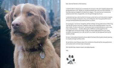 Indy the dog from the horror film Good Boy Indy the dog from the horror film Good Boy
