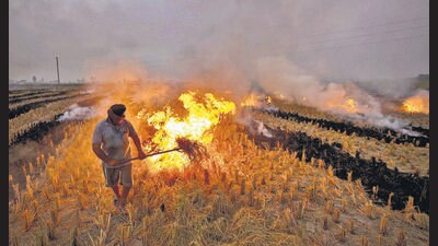 A farmer burns paddy stubble in a field, on the outskirts of Amritsar in Punjab (PTI) A farmer burns paddy stubble in a field, on the outskirts of Amritsar in Punjab (PTI)