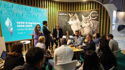 Participants take part in a conversation at the International Union for Conservation of Nature (IUCN) world congress in Abu Dhabi. (AFP)
