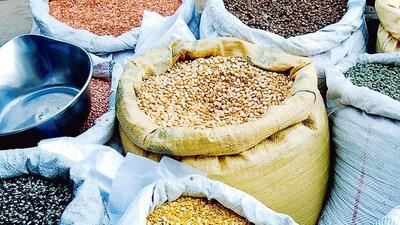 State-backed food agencies, such as NAFED, will buy out 100% of tur (pigeon pea), urad (gram), and masoor (yellow lentils) at federally fixed minimum support prices (MSP), Union farm secretary Devesh Chaturvedi said. (Representative photo) State-backed food agencies, such as NAFED, will buy out 100% of tur (pigeon pea), urad (gram), and masoor (yellow lentils) at federally fixed minimum support prices (MSP), Union farm secretary Devesh Chaturvedi said. (Representative photo)