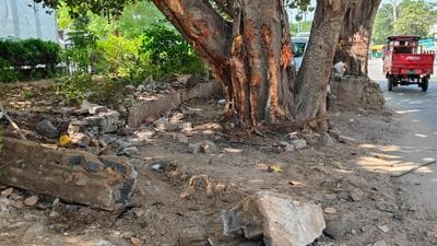 The spot where the car collided Sector 12 road. (HT)