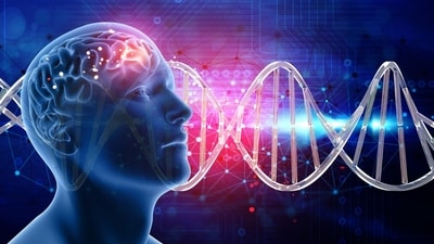 The expert emphasises that to live peacefully, one's brain must learn the three fundamental truths of life. The expert emphasises that to live peacefully, one's brain must learn the three fundamental truths of life.