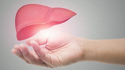 Dr Vatsya suggests maintaining a healthy liver through dietary choices, noting that many people suffer from fatty liver disease often without realising it. (Freepik) Dr Vatsya suggests maintaining a healthy liver through dietary choices, noting that many people suffer from fatty liver disease often without realising it. (Freepik)