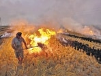 A farmer burns paddy stubble in a field, on the outskirts of Amritsar in Punjab (PTI) A farmer burns paddy stubble in a field, on the outskirts of Amritsar in Punjab (PTI)