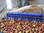Despite challenges, a total of 2.60 crore (2,60,83,458) apple boxes were traded this year, officials said on Sunday. (HT File) Despite challenges, a total of 2.60 crore (2,60,83,458) apple boxes were traded this year, officials said on Sunday. (HT File)
