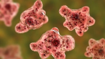 The state is battling the rare and often fatal brain infection caused by the "brain-eating amoeba" Naegleria fowleri. (File Photo) The state is battling the rare and often fatal brain infection caused by the "brain-eating amoeba" Naegleria fowleri. (File Photo)