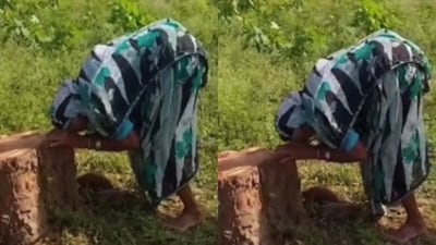 Kiren Rijiju's post showing an old woman crying beside a cut Peepal tree she planted 20 years ago went viral. (Instagram/kiren.rijiju)