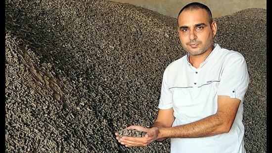 Enterprising brick kiln operator Bhagat Gill shows pallets converted from paddy residue at his workstation in Moga's Jalalabad village of Punjab (HT Photo)