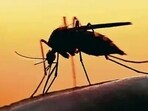 Data from the district malaria control office reveals a remarkable 49% decrease in dengue cases, with only 323 individuals affected from January to October this year, a significant drop from 636 in the same period last year. (Pic for representation) Data from the district malaria control office reveals a remarkable 49% decrease in dengue cases, with only 323 individuals affected from January to October this year, a significant drop from 636 in the same period last year. (Pic for representation)