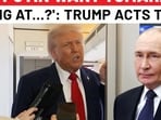 'Does Putin want Tomahawk missiles flying towards…?': Trump 'Does Putin want Tomahawk missiles flying towards…?': Trump