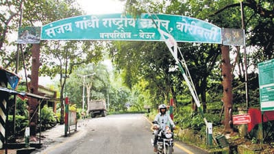 HC ultimatum to state: Find land for encroachers on SGNP by Thursday HC ultimatum to state: Find land for encroachers on SGNP by Thursday