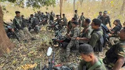 1,040 Maoist cadres have laid down arms in 2025, a sharp rise over the previous year amid a sustained joint offensive by central and state forces. (AFP FILE ) 1,040 Maoist cadres have laid down arms in 2025, a sharp rise over the previous year amid a sustained joint offensive by central and state forces. (AFP FILE )