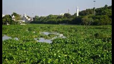 Pollution, lack of coordination among departments and slow execution of plans pose a challenge to efforts to give the river a new lease of life (File photo)