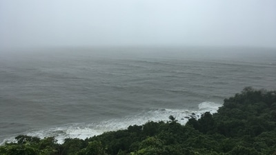 Governor Hochul declared a state of emergency for New York City due to a powerful nor'easter, leading to the cancellation of the Columbus Day parade. (Representative Image: Unsplash) Governor Hochul declared a state of emergency for New York City due to a powerful nor'easter, leading to the cancellation of the Columbus Day parade. (Representative Image: Unsplash)