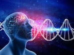Brain influences your heart in more ways than one. Brain influences your heart in more ways than one.