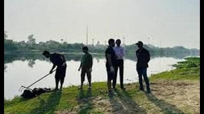 LMC deploys 25 workers, dumpers, heavy machines, and 6 boats to clean haycinth (Sourced)