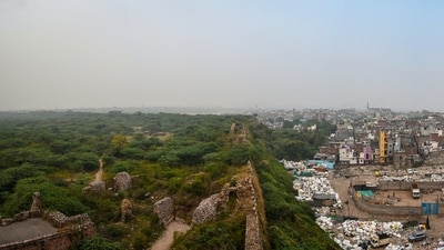 File photo of Delhi's Southern Ridge, considered part of the Capital’s ‘lungs’. (HT Photo ) File photo of Delhi's Southern Ridge, considered part of the Capital’s ‘lungs’. (HT Photo )