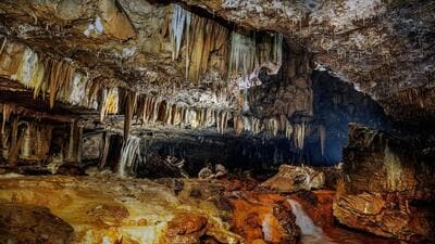 The Mawmluh Cave near Cherrapunji in Meghalaya’s East Khasi Hills district. (Incredible India) The Mawmluh Cave near Cherrapunji in Meghalaya’s East Khasi Hills district. (Incredible India)