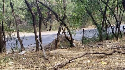 The entire process is to be completed within a year, after which the land must be used exclusively for afforestation. (HT) The entire process is to be completed within a year, after which the land must be used exclusively for afforestation. (HT)