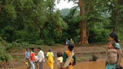 Villagers crossing dense the Saranda forest to reach their village (FILE PHOTO) Villagers crossing dense the Saranda forest to reach their village (FILE PHOTO)