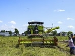 Paddy crops being harvested using a combine harvester, on the outskirts of Amritsar (PTI)