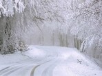 NWS issues winter storm warning: 18 inches of snow to strike parts of central California. What to know NWS issues winter storm warning: 18 inches of snow to strike parts of central California. What to know