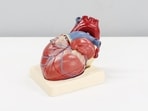 You need to exercise in moderation to keep heart health in good shape. You need to exercise in moderation to keep heart health in good shape.