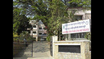 In 1988, CIBC was shut, and its scientific facilities handed over to ICAR (Indian Council of Agricultural Research), an autonomous body under the government of India (NBAIR.RES.IN) In 1988, CIBC was shut, and its scientific facilities handed over to ICAR (Indian Council of Agricultural Research), an autonomous body under the government of India (NBAIR.RES.IN)