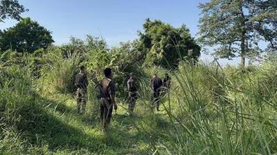 Officials said one .303 rifle and a handbag were recovered from the spot. (Representative file photo) Officials said one .303 rifle and a handbag were recovered from the spot. (Representative file photo)