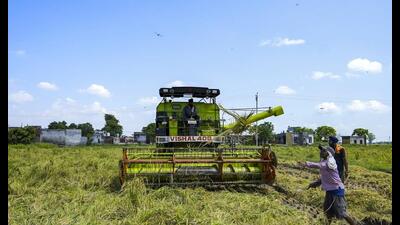 Paddy crops being harvested using a combine harvester, on the outskirts of Amritsar (PTI)