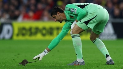 Belgium goalkeeper Thibaut Courtois tries to grab hold of a rat that made its way onto the pitch in Cardiff. (Action Images via Reuters)