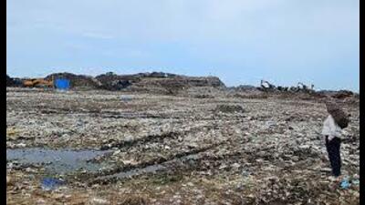 The court was hearing a clutch of petitions pending since 2016, seeking removal of the dump. (HT File)