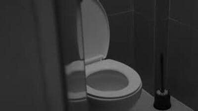The spokesperson informed that till October 9, 2025, 52 such toilets, viz: 27 for transgenders and 25 for the persons with disability have been constructed in judicial court complexes in district Shimla, Kangra, Solan, Hamirpur, Bilaspur, Una, Mandi, Chamba and Kinnaur by the PWD department (File)