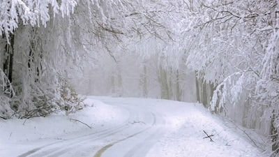 NWS issues winter storm warning: 18 inches of snow to strike parts of central California. What to know (Representative image/Unsplash) NWS issues winter storm warning: 18 inches of snow to strike parts of central California. What to know (Representative image/Unsplash)