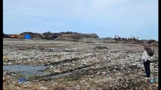 The court was hearing a clutch of petitions pending since 2016, seeking removal of the dump. (HT File)