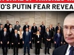 'Game of Thrones wall' to stop Putin? Lithuania calls for NATO drone shield 