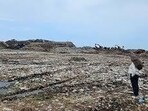 The court was hearing a clutch of petitions pending since 2016, seeking removal of the dump. (HT File)
