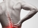 spine(Shutterstock)